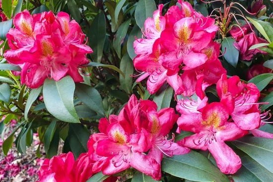 arboretum-wojslawice